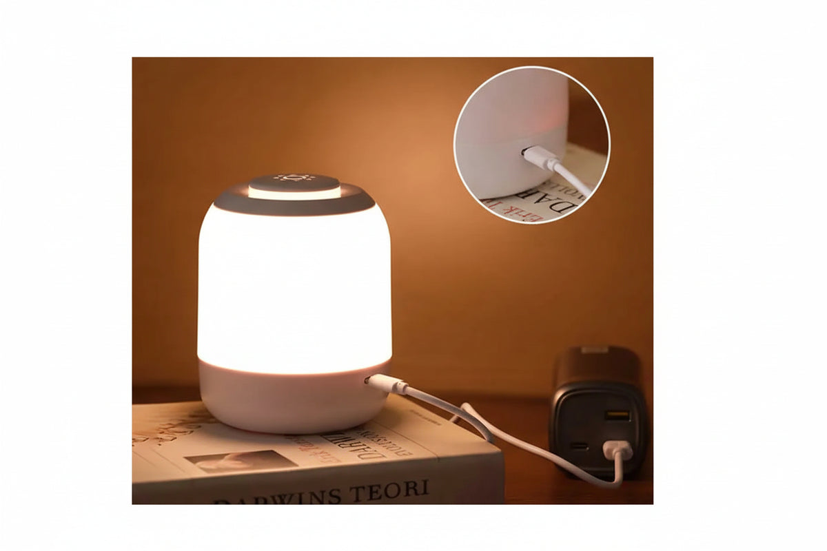 Lampe LED rechargeable USB luminosité ajustable