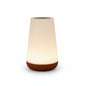 Lampe de nuit RGB 13 couleurs télécommande tactile
